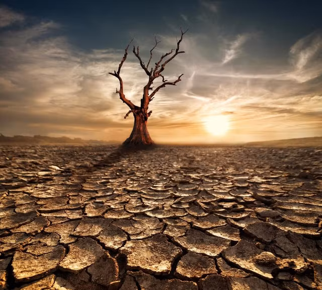 Trai dat co the hung dai tuyet chung vao nam 2200?-Hinh-5