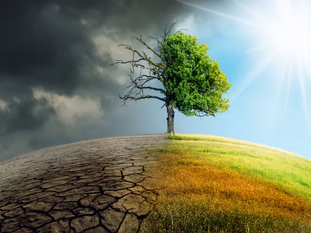 Trai dat co the hung dai tuyet chung vao nam 2200?-Hinh-4