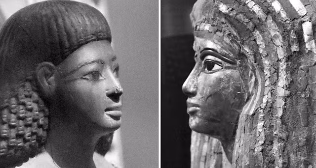 Huong la toa ra khi khai quat mo co Ai Cap-Hinh-8