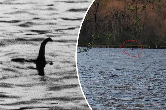 Nóng: Quái vật bí ẩn thời tiền sử ẩn náu ở hồ Loch Ness? - Hình 10 Nong: Quai vat bi an thoi tien su an nau o ho Loch Ness?-Hinh-10