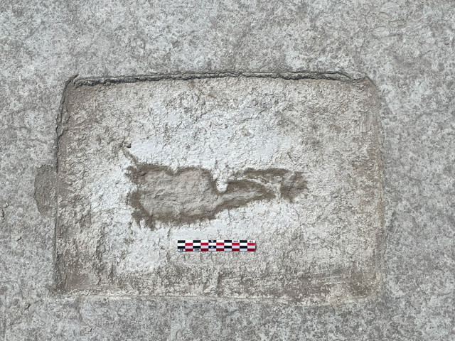 Bi an dau chan ma quai 10.000 tuoi bien mat khi gap anh nang-Hinh-4