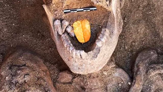 Vi sao trong mieng xac uop Ai Cap co luoi vang?-Hinh-3