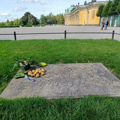 Nguyên nhân vì sao rước mộ Friedrich Đại đế thường có củ khoai tây? - Hình 7 Nguyen nhan vi sao ruoc mo Friedrich Dai de thuong co cu khoai tay?-Hinh-7