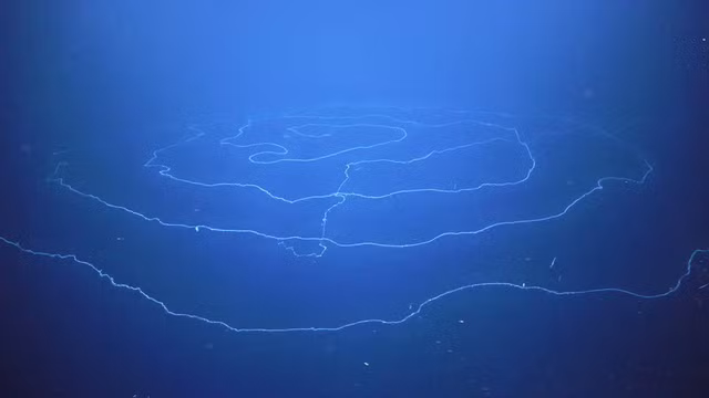 Sinh vat dai nhat tren Trai dat co hinh dang doc la-Hinh-4