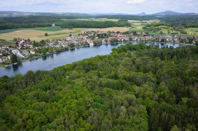 Biet gi ve thi tran Duc nam hoan toan trong long Thuy Si