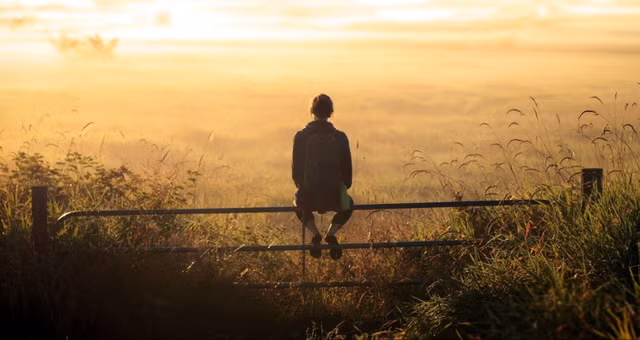 Be 4 tuoi nho da diet gia dinh o kiep truoc-Hinh-7