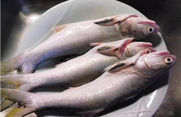 5 loại cá nếu ăn nhiều sẽ khiến gan thận hỏng hết 5 loai ca neu an nhieu se khien gan than hong het