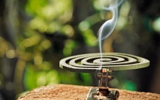 Dung nhang muoi kem chat luong se kich thich te bao ung thu-Hinh-2