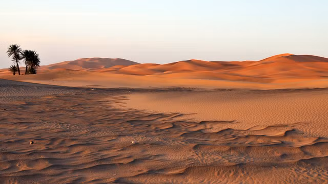 Neu phu pin mat troi kin sa mac Sahara se tao ra luong dien khong lo?-Hinh-6