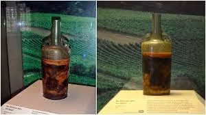 Bat ngo chai ruou vang nam trong mo co 1.700 tuoi van uong duoc-Hinh-4