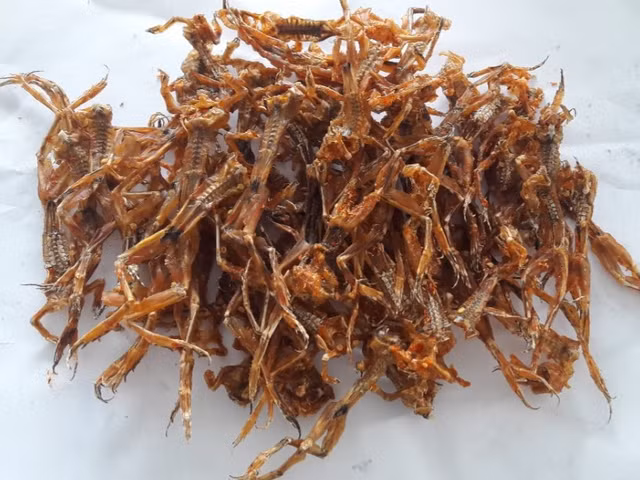 Thu vi cac cong doan lam mon “vu nu chan dai” mien Tay-Hinh-10