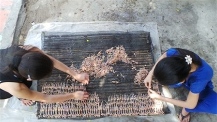 Thú vị các công đoạn làm món “vũ nữ chân dài” miền Tây - Hình 6 Thu vi cac cong doan lam mon “vu nu chan dai” mien Tay-Hinh-6