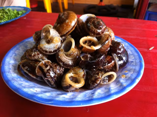 Den Ninh Binh khong the bo qua mon ngon tu oc nui da-Hinh-10