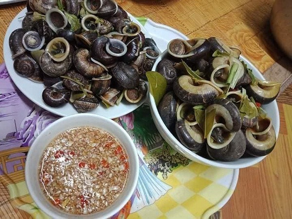 Đến Ninh Bình không thể bỏ qua món ngon từ ốc núi đá - Hình 6 Den Ninh Binh khong the bo qua mon ngon tu oc nui da-Hinh-6