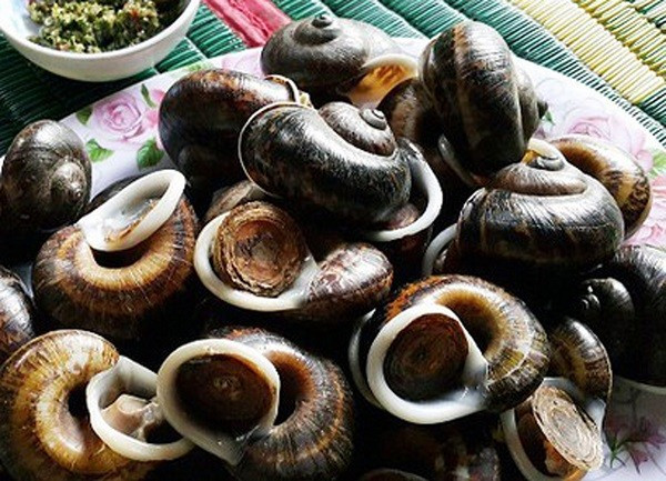 Đến Ninh Bình không thể bỏ qua món ngon từ ốc núi đá - Hình 4 Den Ninh Binh khong the bo qua mon ngon tu oc nui da-Hinh-4