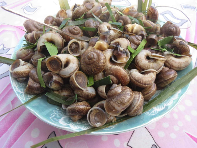 Đến Ninh Bình không thể bỏ qua món ngon từ ốc núi đá - Hình 11 Den Ninh Binh khong the bo qua mon ngon tu oc nui da-Hinh-11