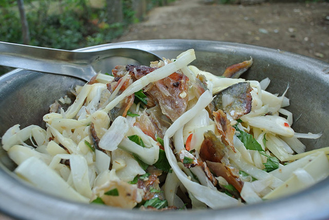 Bồn bồn, đặc sản dân dã miền Tây cực tốt cho sức khỏe - Hình 9 Bon bon, dac san dan da mien Tay cuc tot cho suc khoe-Hinh-9