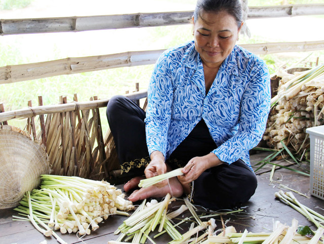 Bồn bồn, đặc sản dân dã miền Tây cực tốt cho sức khỏe - Hình 3 Bon bon, dac san dan da mien Tay cuc tot cho suc khoe-Hinh-3