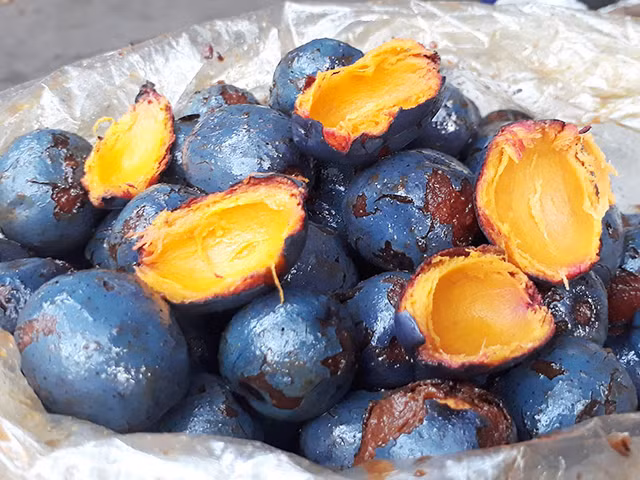 Bí quyết chế biến những món ngon từ quả cọ - Hình 5 Bi quyet che bien nhung mon ngon tu qua co-Hinh-5