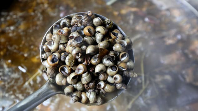 Phở ốc hút khách ở Trung Quốc được ví như 'vũ khí sinh học' có gì đặc biệt? - Hình 3 Pho oc hut khach o Trung Quoc duoc vi nhu 'vu khi sinh hoc' co gi dac biet?-Hinh-3