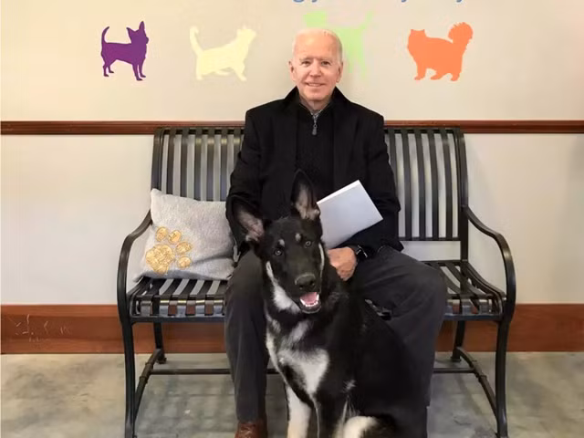 Dieu tri treo mat ca, ran xuong chan cho ong Biden the nao?