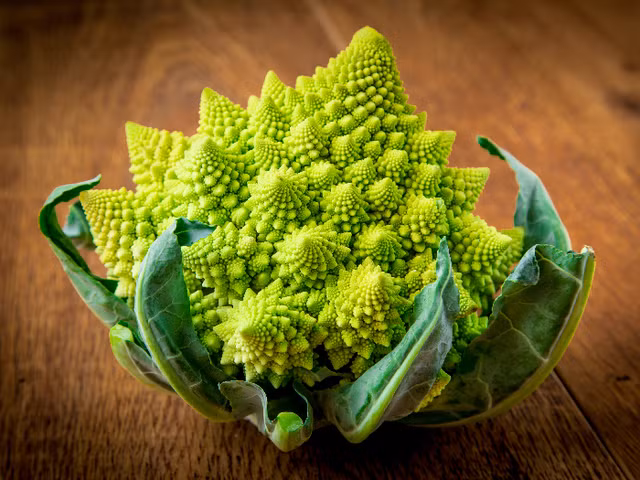 Den Y mua dong khong the bo qua mon sup lo san ho dac biet-Hinh-2