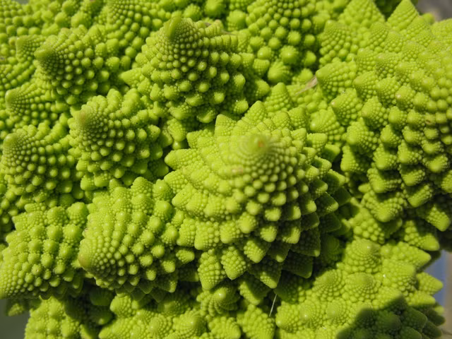 Den Y mua dong khong the bo qua mon sup lo san ho dac biet-Hinh-4