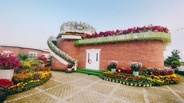 Hồng Lam Xuân Thành nợ thuế tới hơn 69 tỷ nên bị ngừng sử dụng hóa đơn Hong Lam Xuan Thanh no thue toi hon 69 ty nen bi ngung su dung hoa don