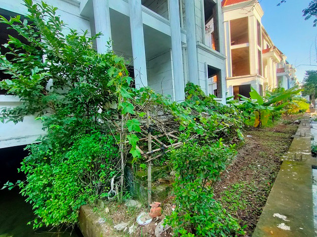 Khu đô thị Thiên đường Bảo Sơn: Cận cảnh những căn biệt thự triệu đô xuống cấp - Hình 19 Khu do thi Thien duong Bao Son: Can canh nhung can biet thu trieu do xuong cap-Hinh-19