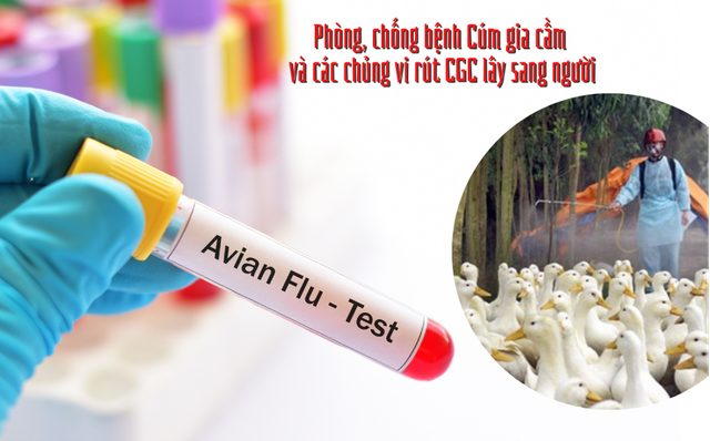Viện Pasteur TP HCM triển khai gấp biện pháp phòng cúm H5N1 - Hình 2 Vien Pasteur TP HCM trien khai gap bien phap phong cum H5N1-Hinh-2