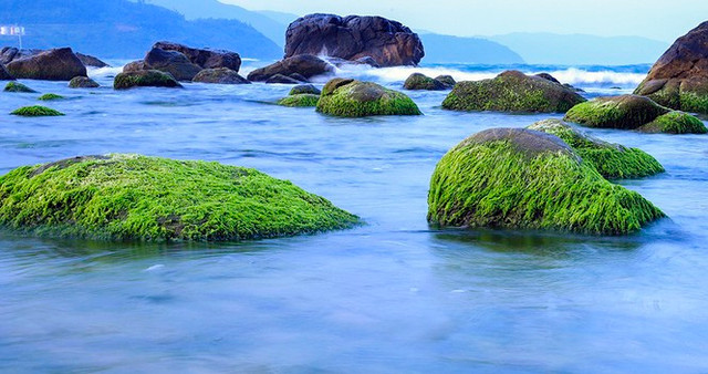Giao ghềnh Nam Ô cho Trung Thủy Đà Nẵng quản lý, yêu cầu không khai thác thương mại Giao ghenh Nam O cho Trung Thuy Da Nang quan ly, yeu cau khong khai thac thuong mai