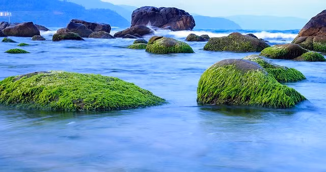 Giao ghenh Nam O cho Trung Thuy Da Nang quan ly, yeu cau khong khai thac thuong mai