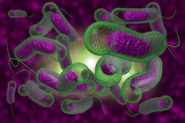 5 bệnh thường gặp nếu thường xuyên xì hơi - Hình 8 5 benh thuong gap neu thuong xuyen xi hoi-Hinh-8