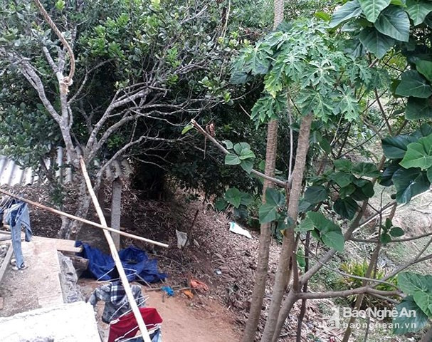 Bé gái 6 tuổi bị thanh niên sinh năm 2001 bế ra sau vườn dâm ô Be gai 6 tuoi bi thanh nien sinh nam 2001 be ra sau vuon dam o