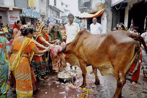 Nhung dong vat duoc con nguoi ton tho nhat the gioi-Hinh-3