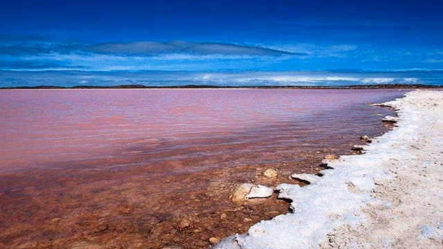 Ly giai bat ngo ve ho nuoc co mau la giong vet mau loang-Hinh-3