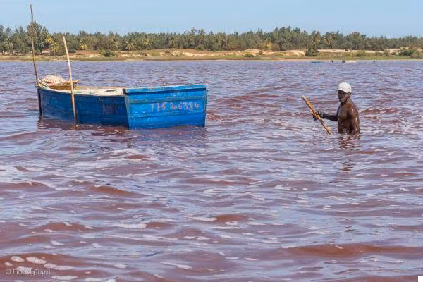 Ly giai bat ngo ve ho nuoc co mau la giong vet mau loang-Hinh-8