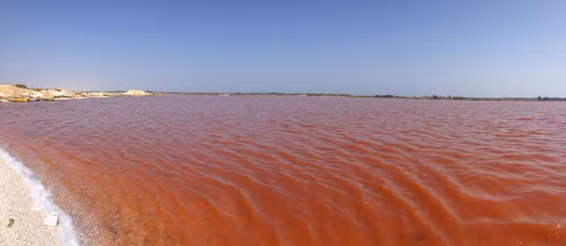 Ly giai bat ngo ve ho nuoc co mau la giong vet mau loang