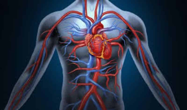 Sự thật bất ngờ về Dịch cân kinh được Kim Dung hết lời ca tụng - Hình 9 Su that bat ngo ve Dich can kinh duoc Kim Dung het loi ca tung-Hinh-9