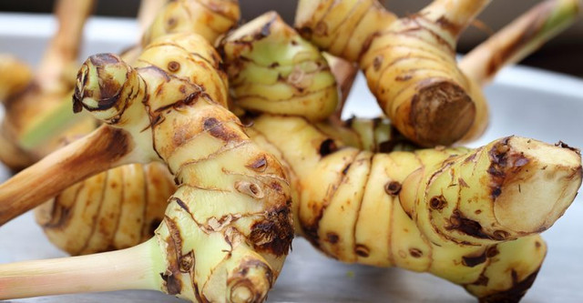 Cong dung tuyet voi cua cu rieng voi quy ong