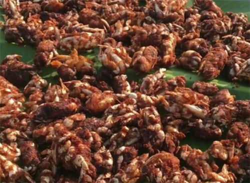 Đặc sản kỳ dị nhưng cực kỳ bổ dưỡng nổi tiếng ở Ấn Độ - Hình 5 Dac san ky di nhung cuc ky bo duong noi tieng o An Do-Hinh-5