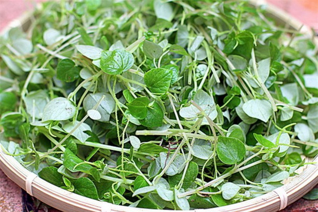 Những món ngon dân dã từ rau càng cua - Hình 8 Nhung mon ngon dan da tu rau cang cua-Hinh-8
