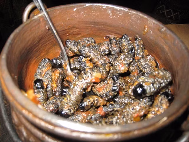 9 mon an kinh di cua chau Phi nhin da thay so-Hinh-12