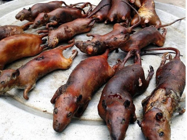 9 món ăn kinh dị của châu Phi nhìn đã thấy sợ - Hình 11 9 mon an kinh di cua chau Phi nhin da thay so-Hinh-11