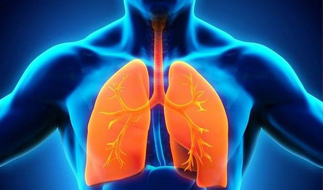 Cảnh báo sốt xuất huyết có thể gây tử vong như cô gái Đà Nẵng - Hình 6 Canh bao sot xuat huyet co the gay tu vong nhu co gai Da Nang-Hinh-6