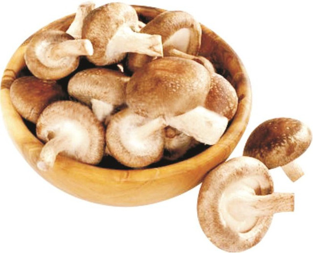 Từ trường hợp của diễn viên Mai Phương: Cách nào ngừa bệnh hiếm? - Hình 14 Tu truong hop cua dien vien Mai Phuong: Cach nao ngua benh hiem?-Hinh-14