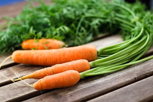 Tu truong hop cua dien vien Mai Phuong: Cach nao ngua benh hiem?-Hinh-13