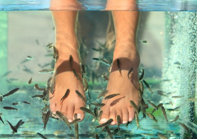 Những cách chăm sóc sắc đẹp kinh dị và nguy hiểm nổi tiếng thế giới - Hình 3 Nhung cach cham soc sac dep kinh di va nguy hiem noi tieng the gioi-Hinh-3