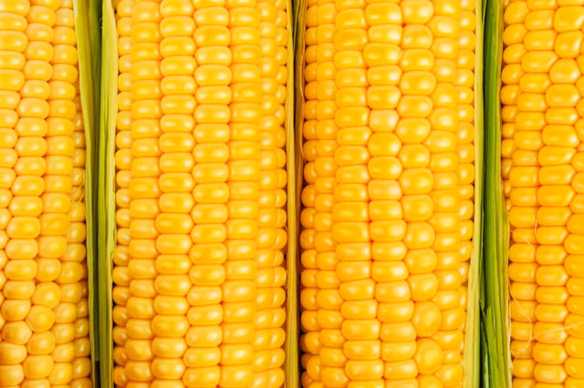 Nhan dien 13 thuc pham chi nen an vua phai du rat tot cho suc khoe-Hinh-12