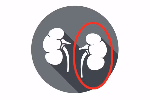 Ban van co the song binh thuong neu thieu toi 9 noi tang nay-Hinh-8